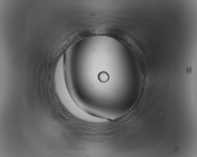 X0000114170521200910081526