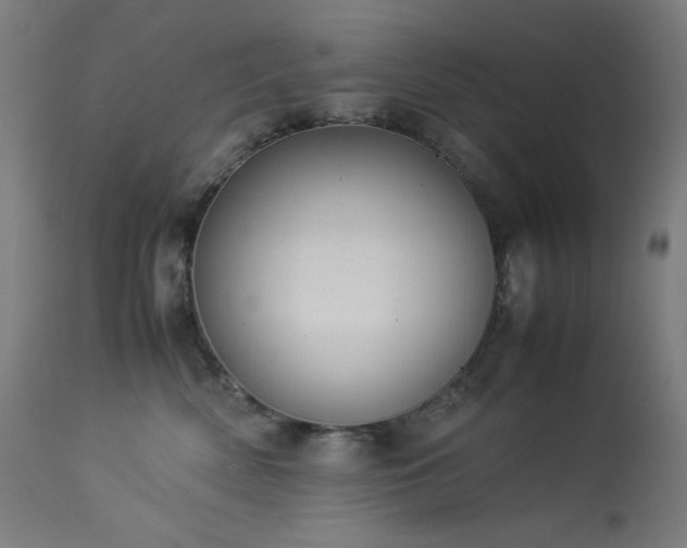 X0000114170522200910081525