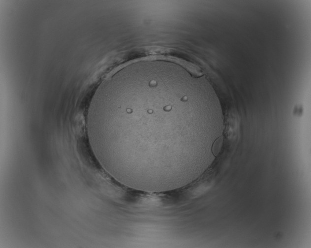 X0000114170523200910081525