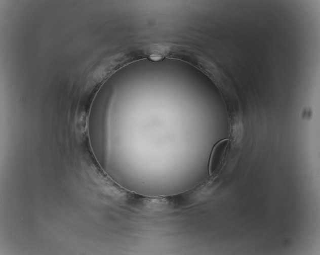 X0000114170525200910081525