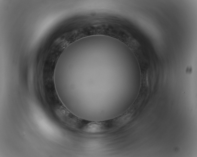 X0000114170526200910081525