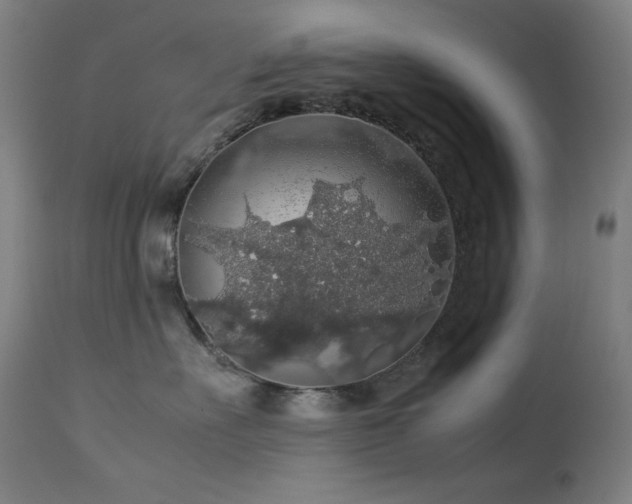 X0000114170527200910081525