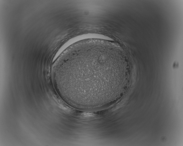 X0000114170528200910081525