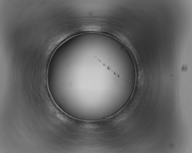X0000114170529200910081525