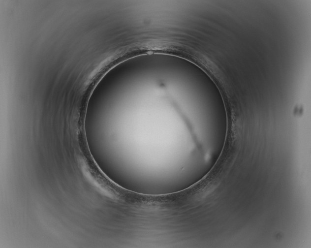 X0000114170530200910081525