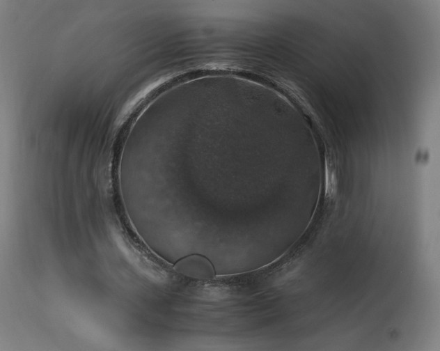 X0000114170531200910081525