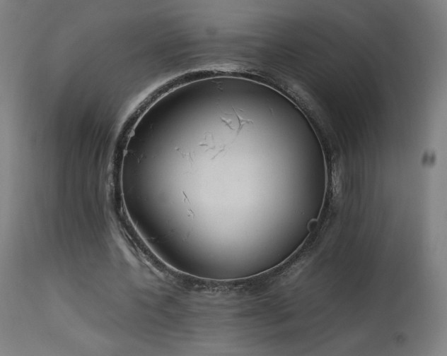 X0000114170532200910081525