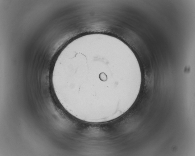 X0000114170534200910081525