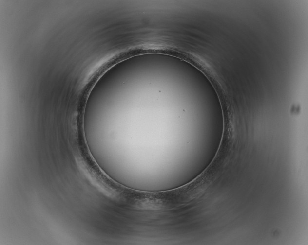 X0000114170535200910081525