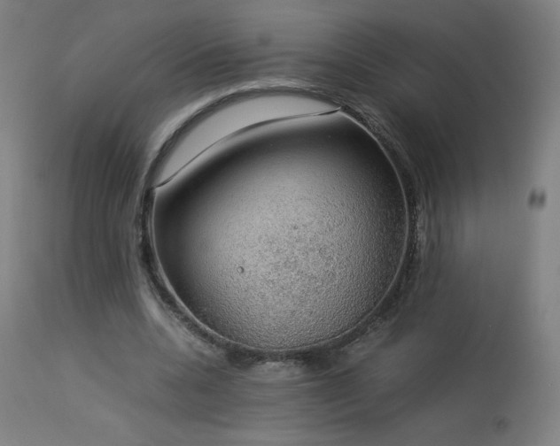 X0000114170536200910081525