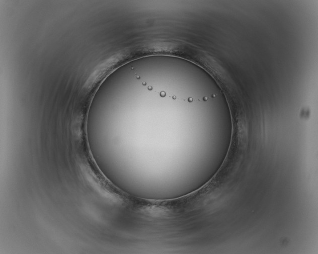 X0000114170537200910081525