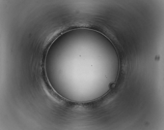 X0000114170538200910081525