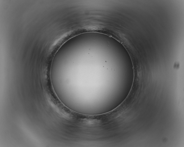 X0000114170539200910081525