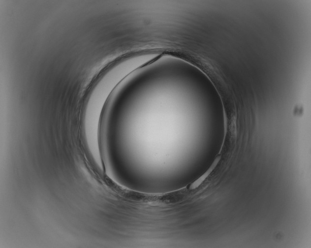 X0000114170540200910081525
