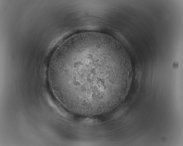 X0000114170542200910081525