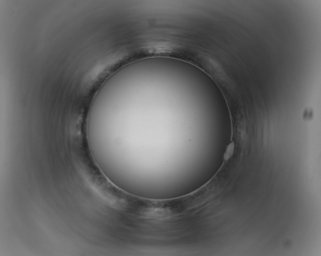 X0000114170543200910081525