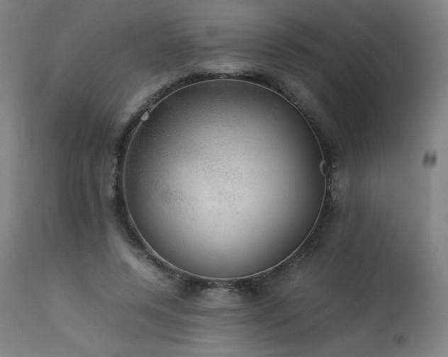 X0000114170544200910081525