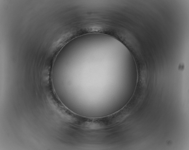 X0000114170545200910081525