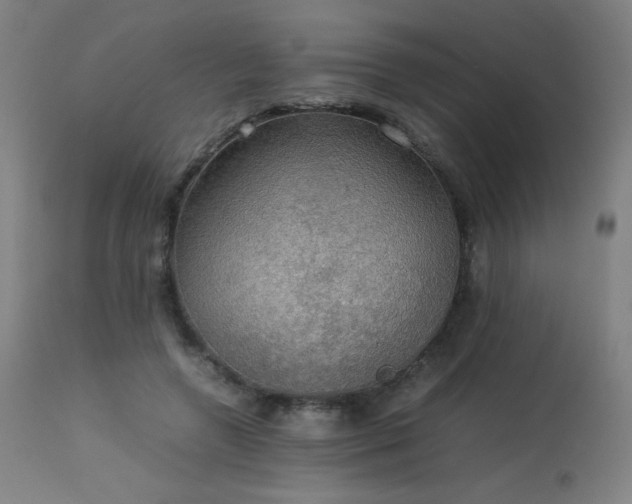 X0000114170546200910081525