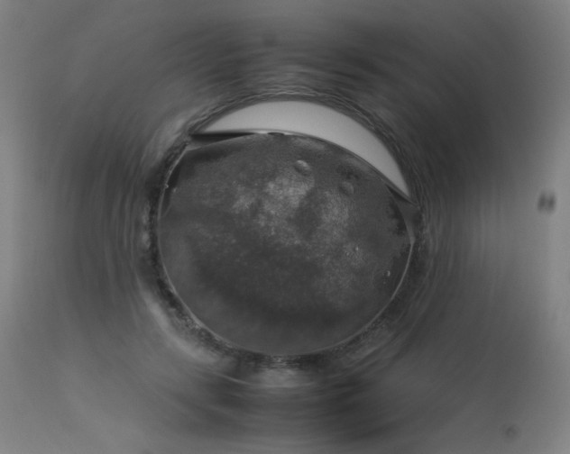 X0000114170547200910081525
