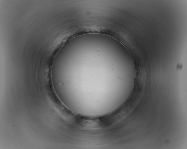 X0000114170548200910081525