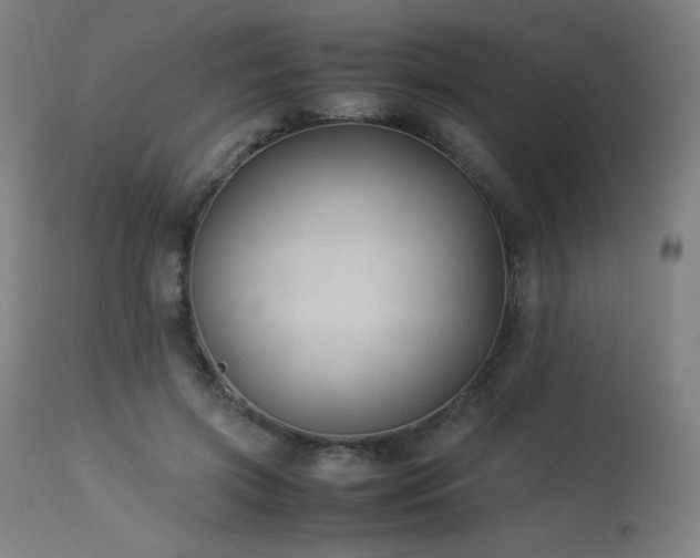 X0000114170549200910081525