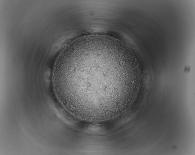 X0000114170550200910081525