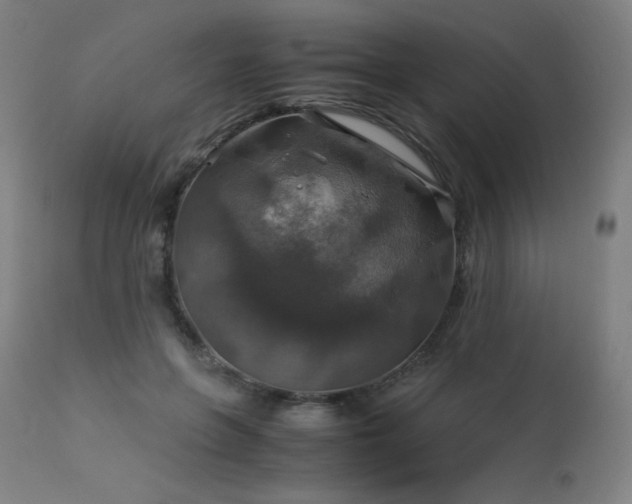 X0000114170551200910081525