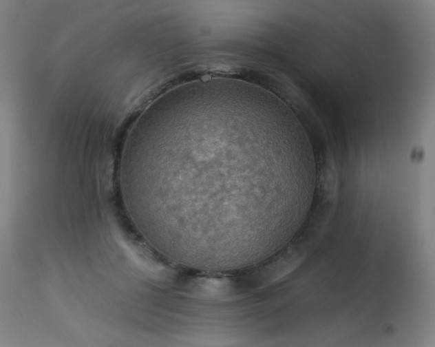 X0000114170552200910081525