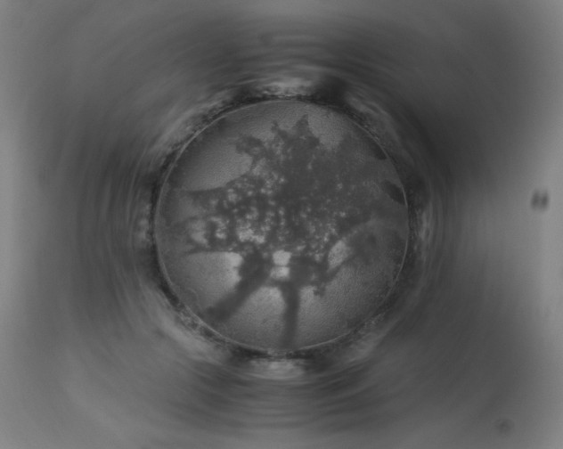X0000114170553200910081525