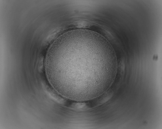X0000114170554200910081525