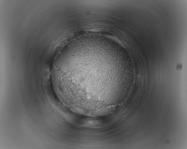 X0000114170555200910081525