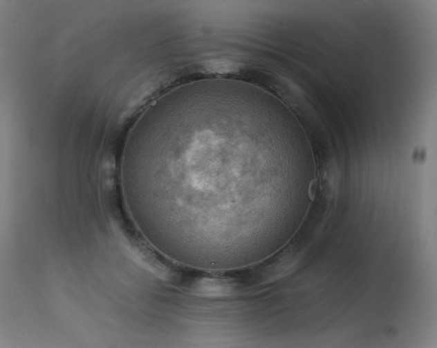 X0000114170556200910081525