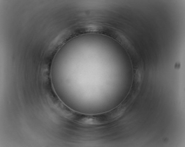 X0000114170557200910081525