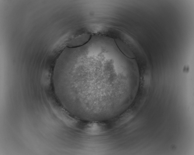 X0000114170558200910081525