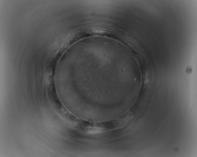X0000114170559200910081525