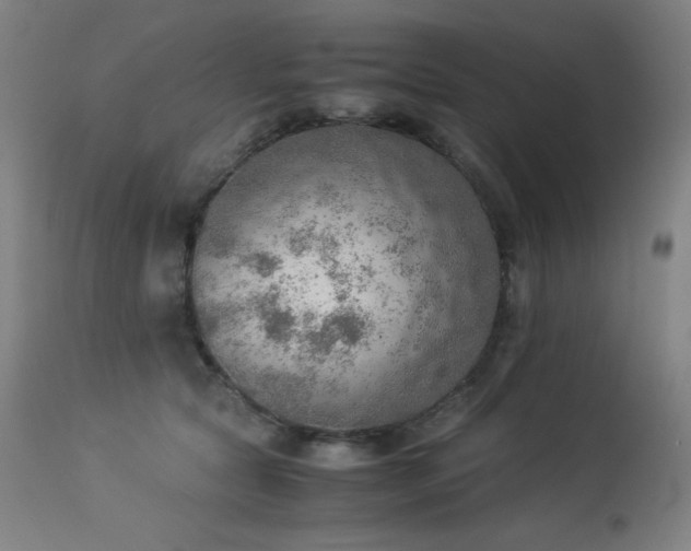 X0000114170561200910081525