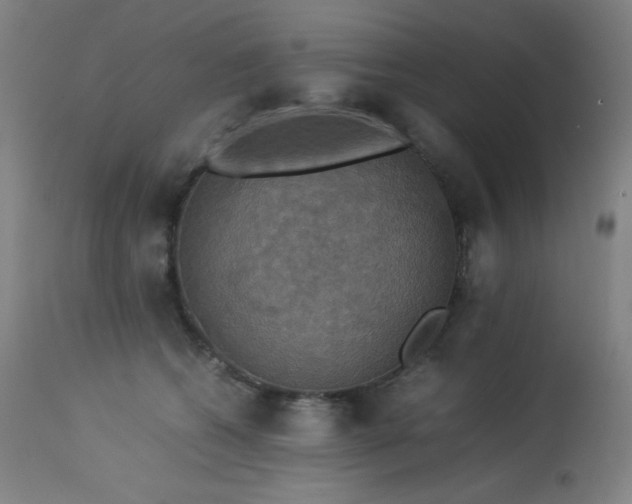 X0000114170562200910081525