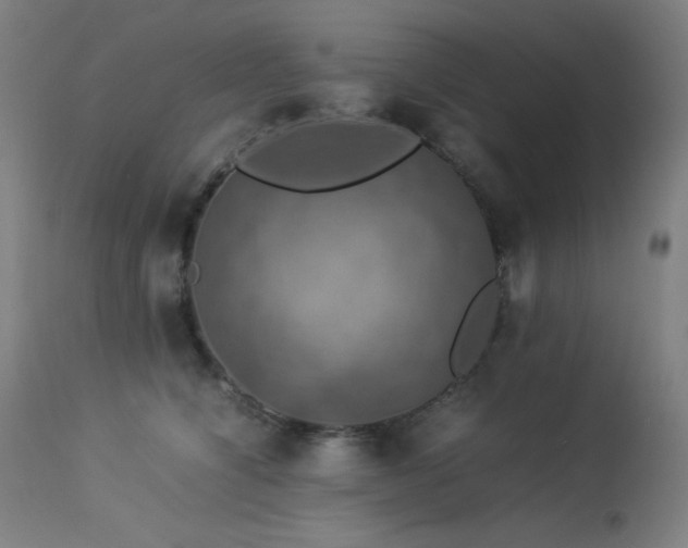 X0000114170564200910081525