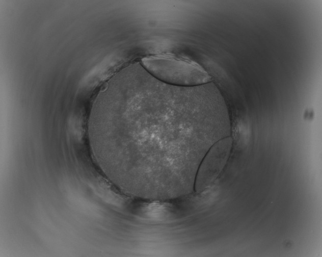 X0000114170566200910081525