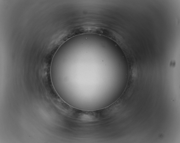 X0000114170567200910081525
