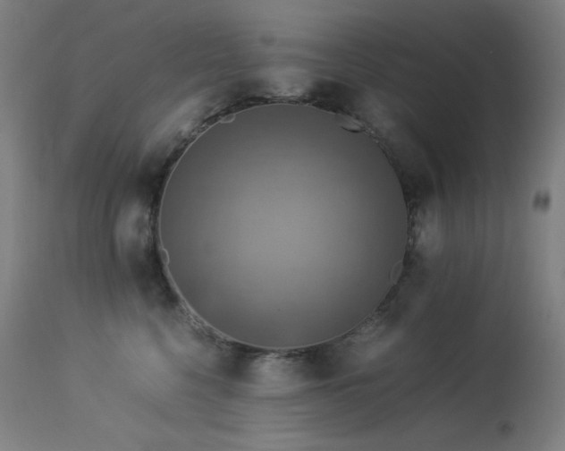 X0000114170568200910081525