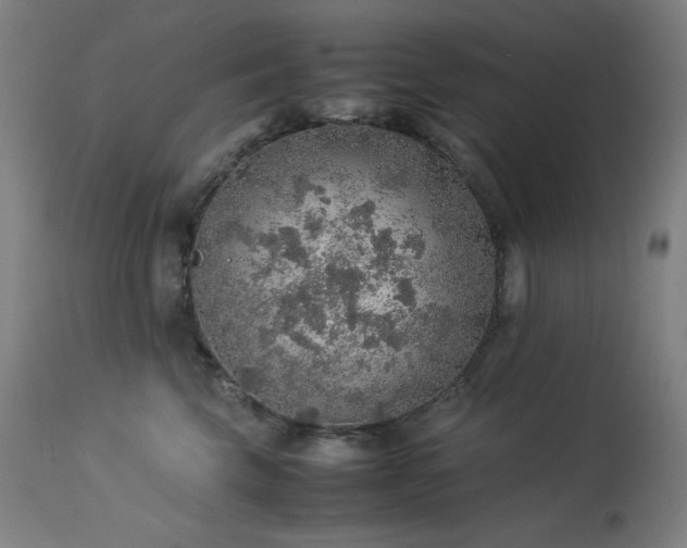 X0000114170569200910081525