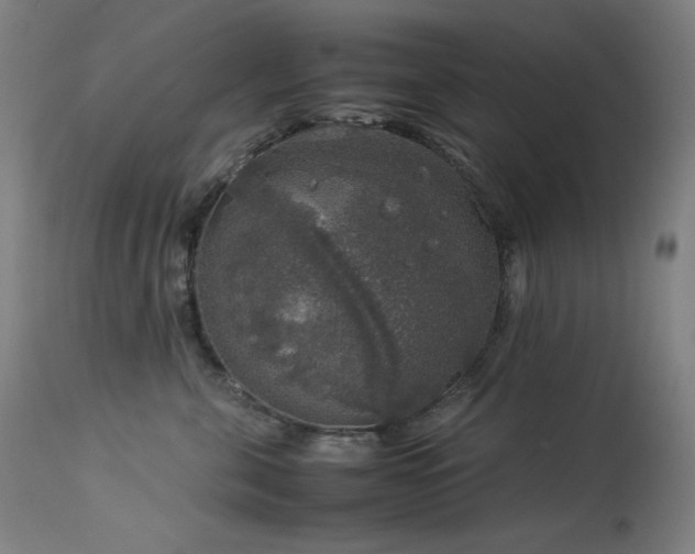 X0000114170571200910081525