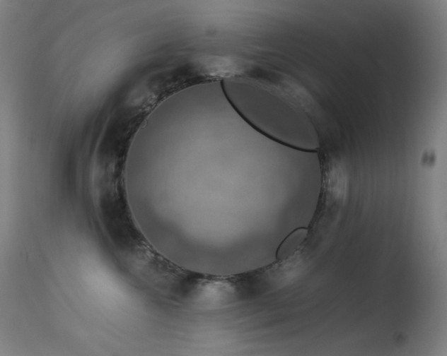 X0000114170572200910081525