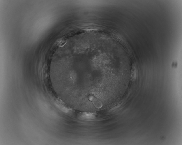 X0000114170573200910081525