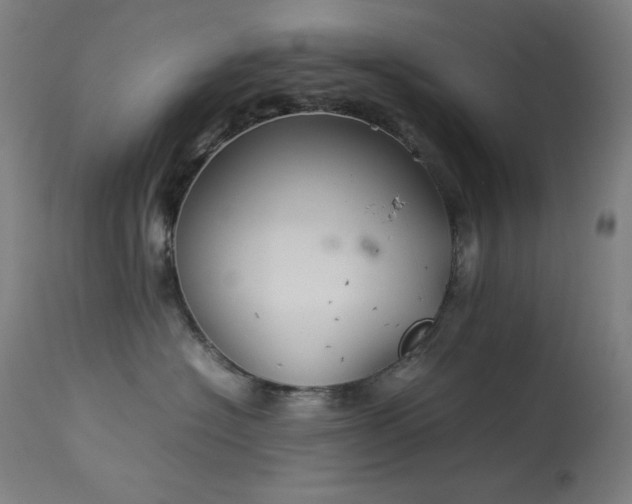X0000114170574200910081525