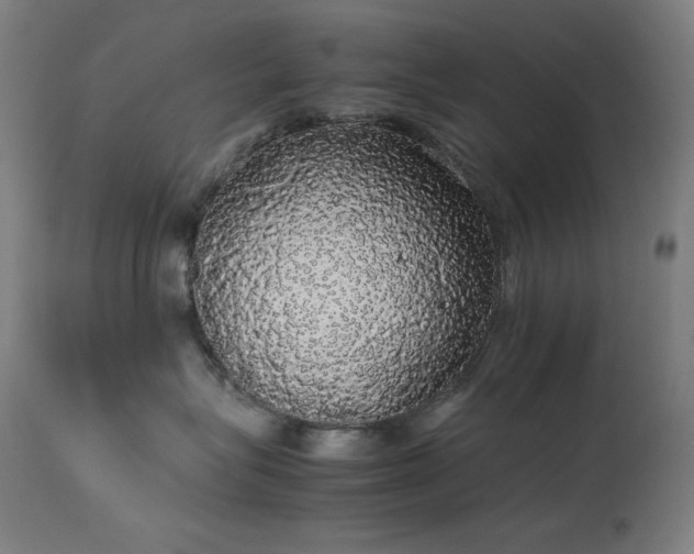 X0000114170575200910081525