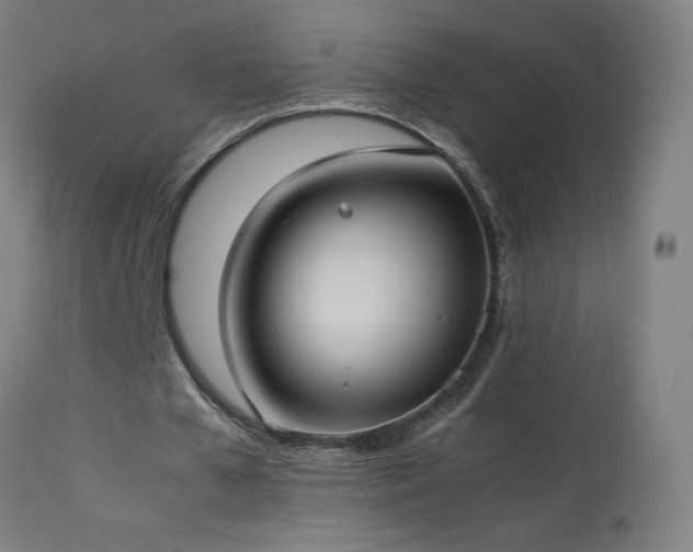 X0000114170577200910081525
