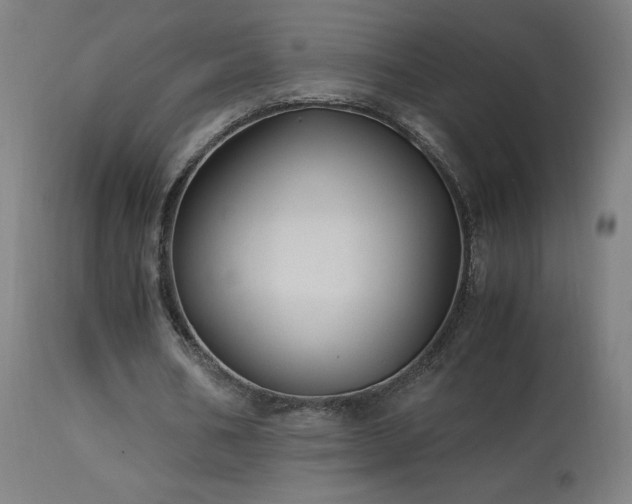 X0000114170578200910081525